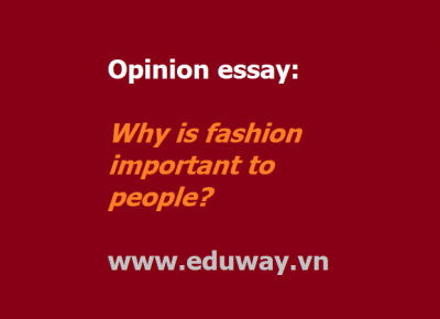 Opinion essay: why is fashion important to people? 