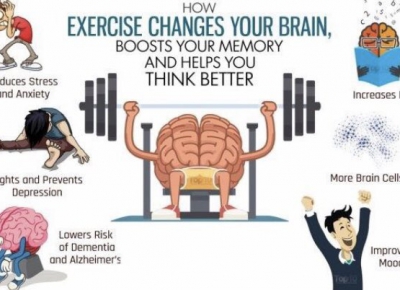 Excercise enhances cognitive functions, including learning and memory 