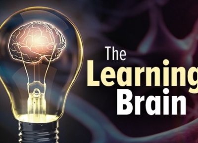 Neuroscience and How Students Learn