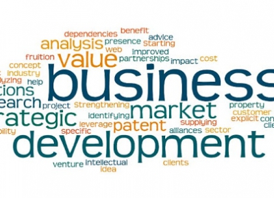 What is business development?